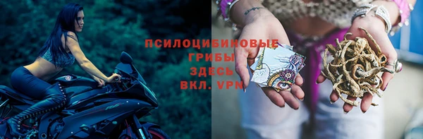 дмт Верея