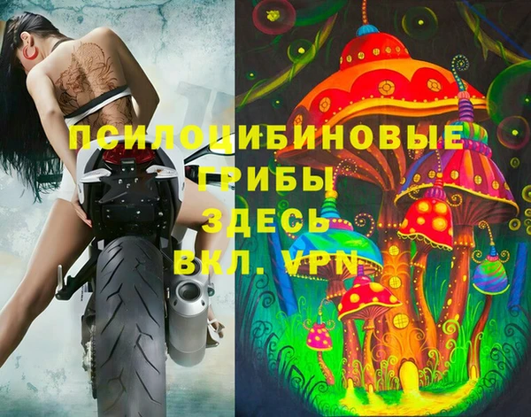 дмт Верея