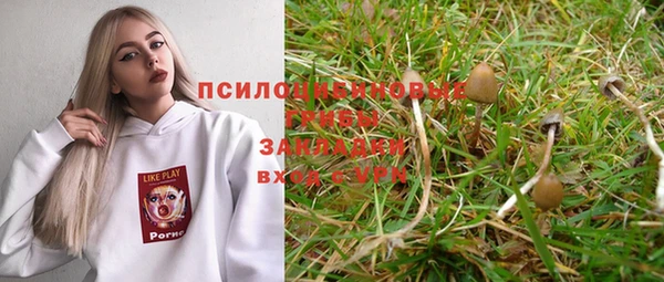 дмт Верея