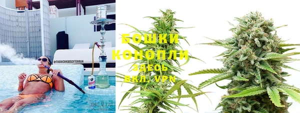 дмт Верея
