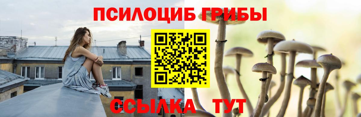 Галлюциногенные грибы GOLDEN TEACHER Воткинск