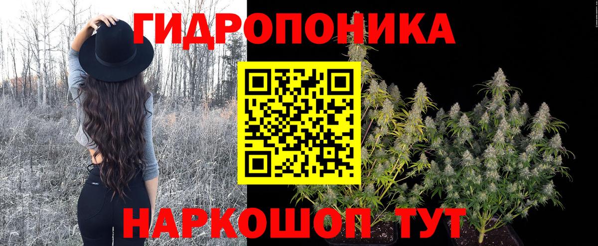 Бошки марихуана Ganja  Каннабис гибрид  Воткинск  Канабис тримм 